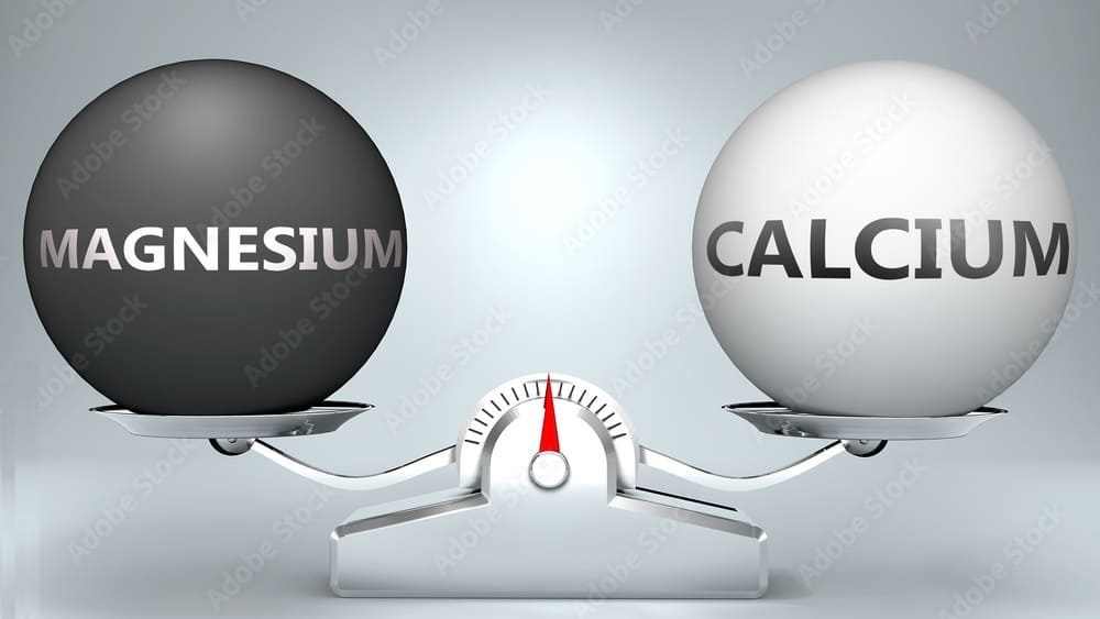 Calcium and Magnesium Together