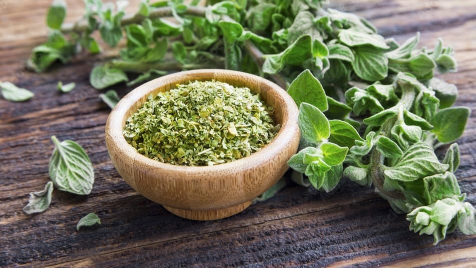 Oregano