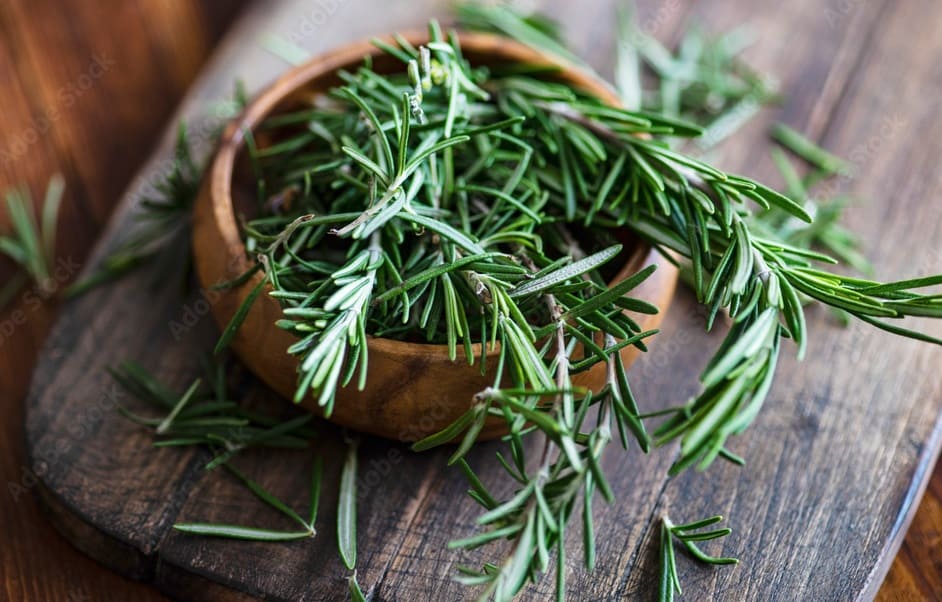 Rosemary