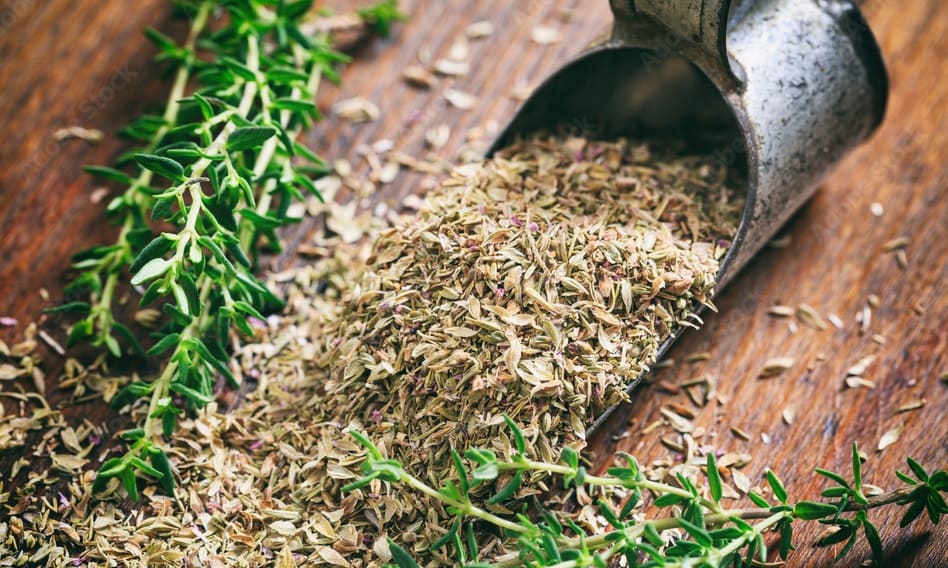 Thyme