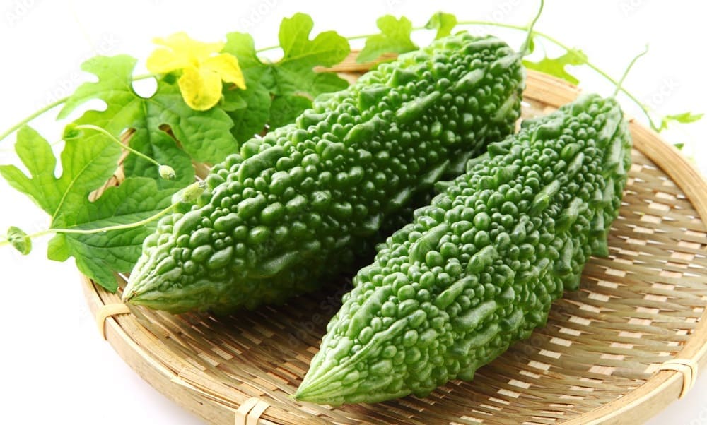 Bitter Melon