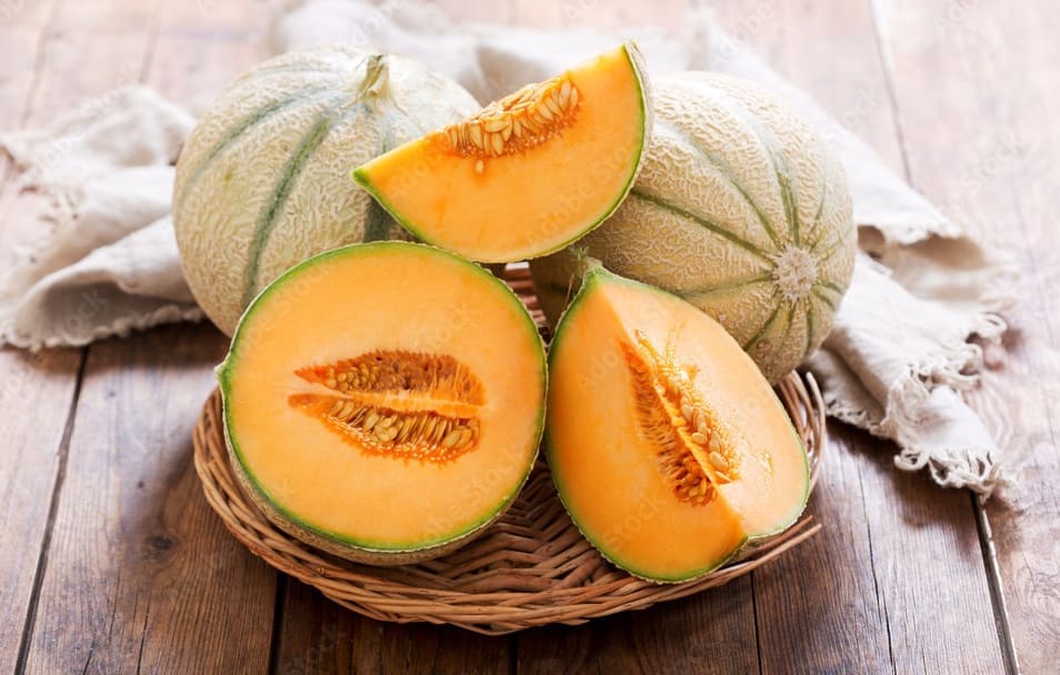 Honeydew Melon