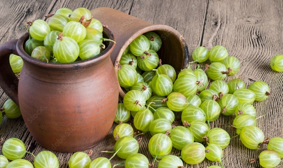 Amla