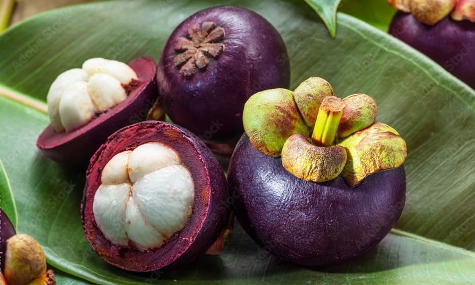 Mangosteen