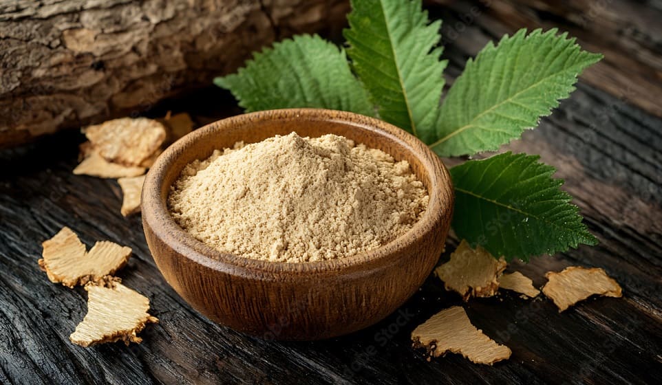 Slippery Elm