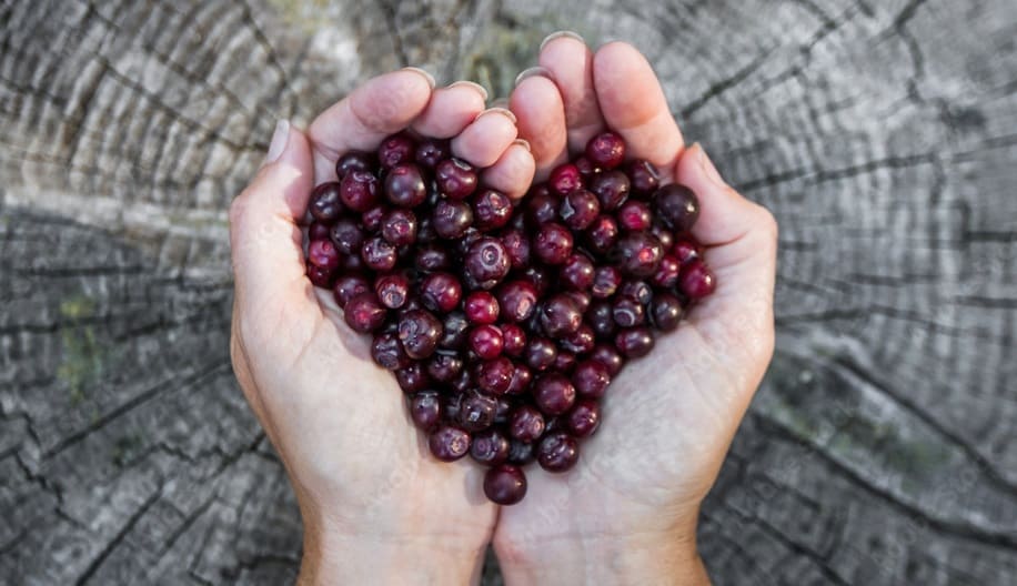 Huckleberries