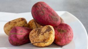 Kola nut intelligence overview
