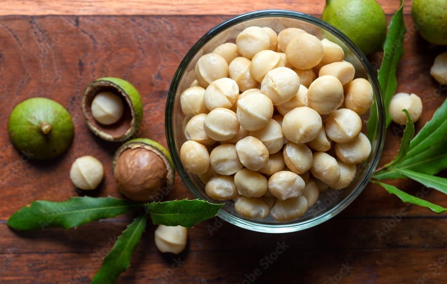 Macadamia Nuts