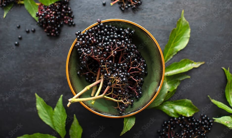 Elderberries
