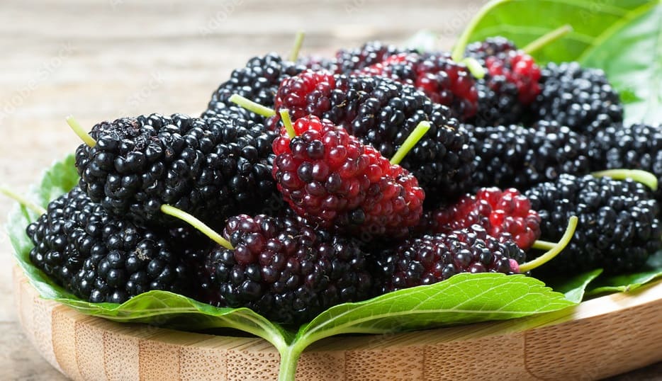 Mulberries