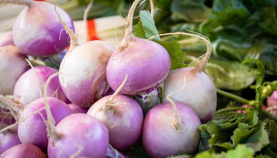 Turnip
