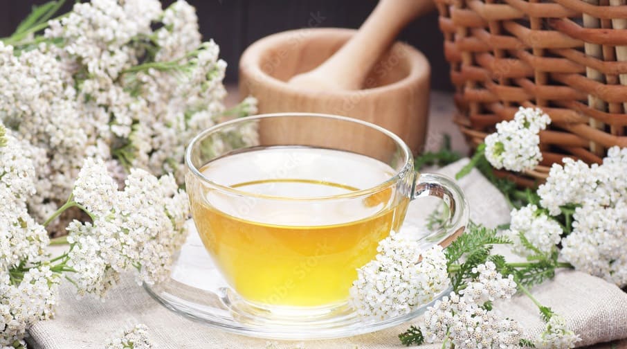Yarrow Tea
