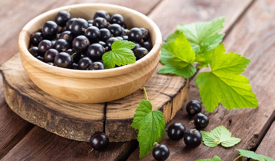 Black Currant