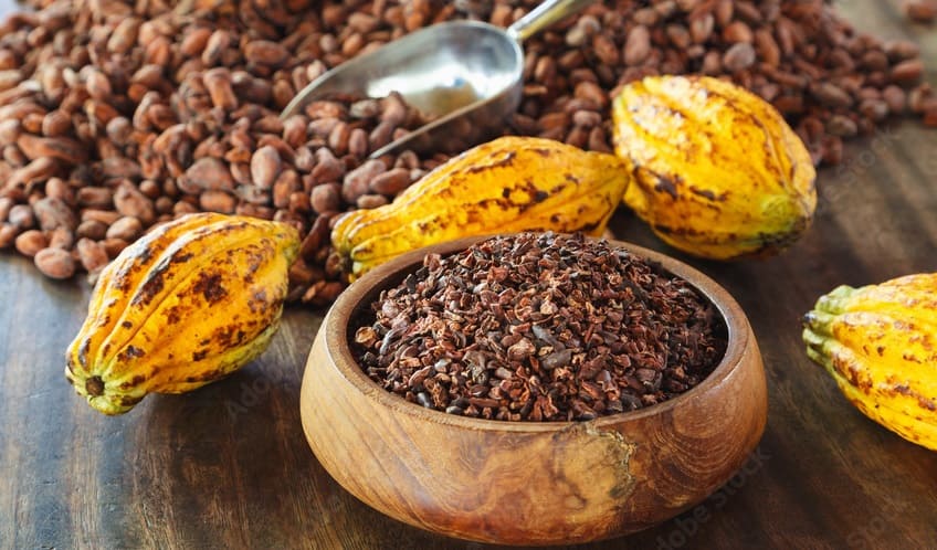 Cacao Nibs