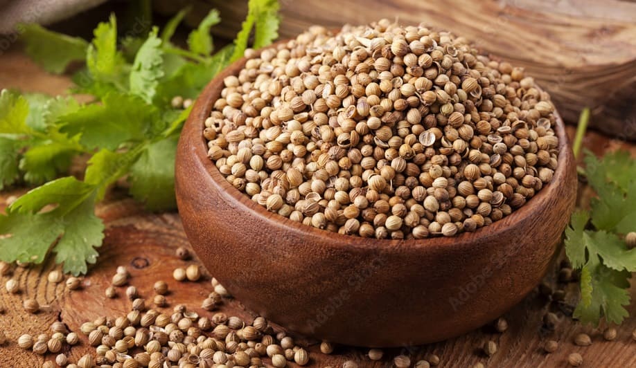 Coriander Seeds