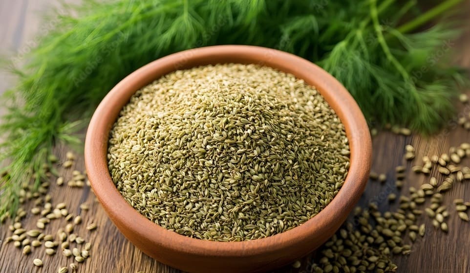 Dill Seeds