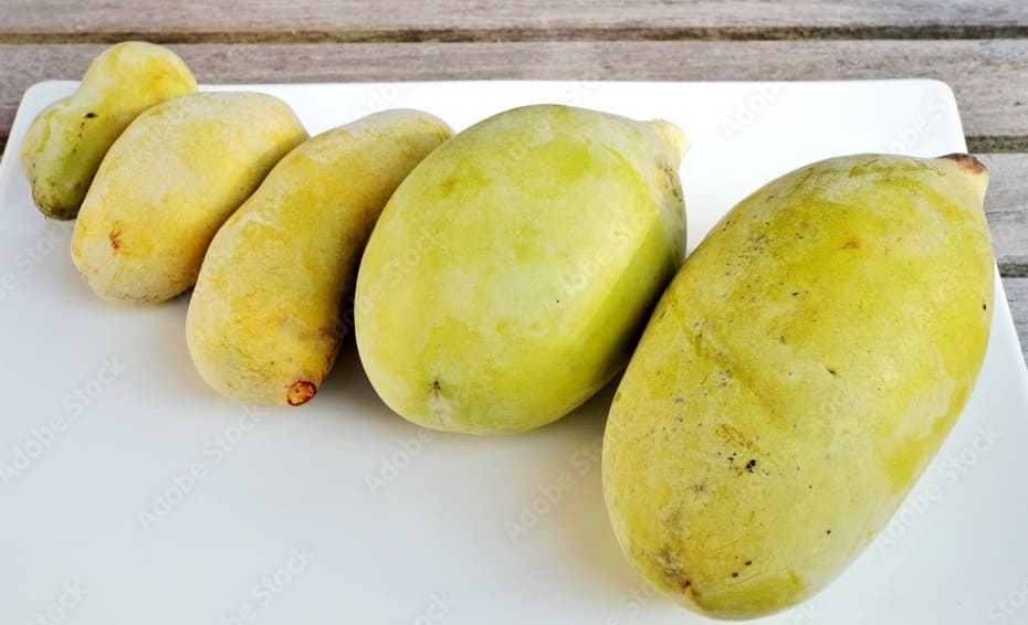 Pawpaw