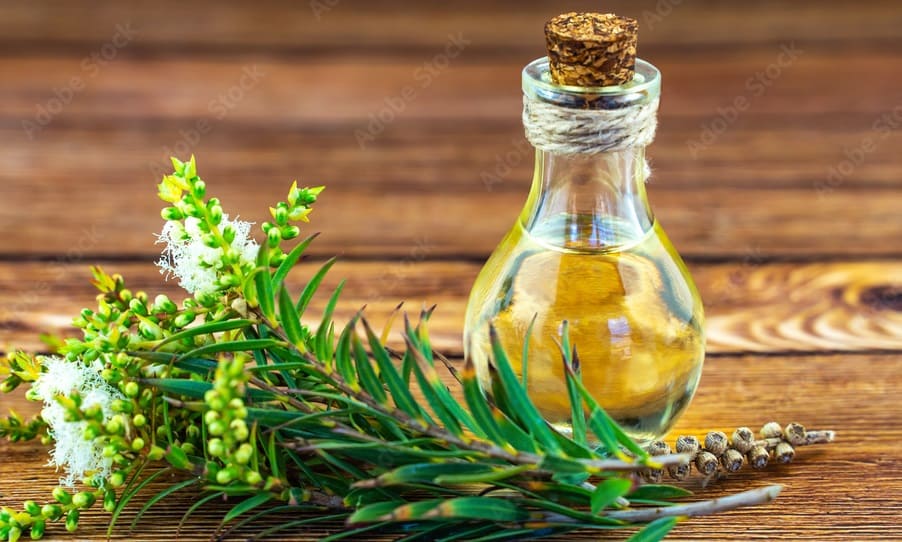 Tea Tree Oil