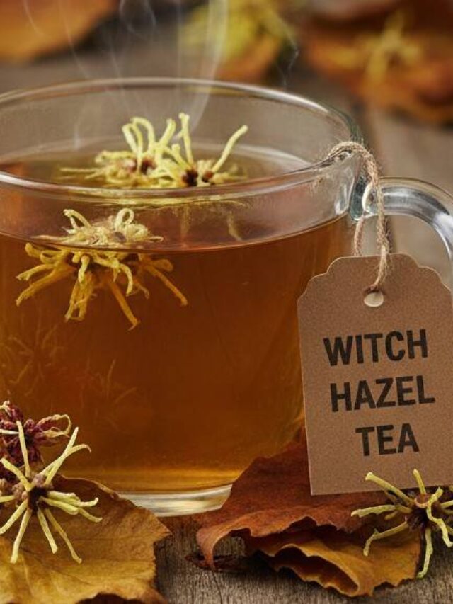 Witch Hazel Tea