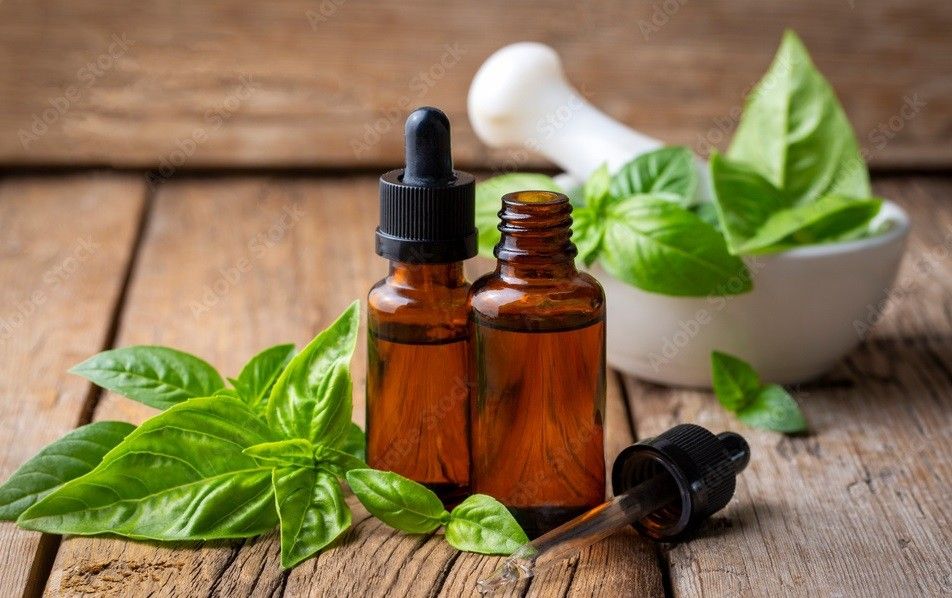 Basil Oil