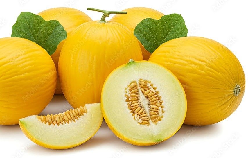 Casaba Melon