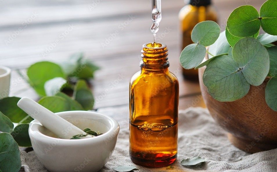 Eucalyptus Oil