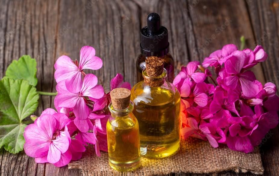 Geranium Oil