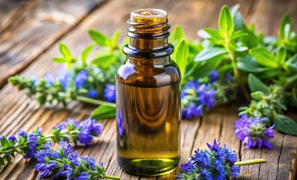 Hyssop Oil