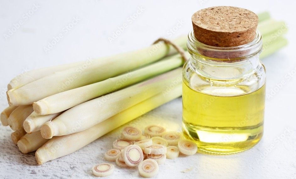 Lemongrass Oil