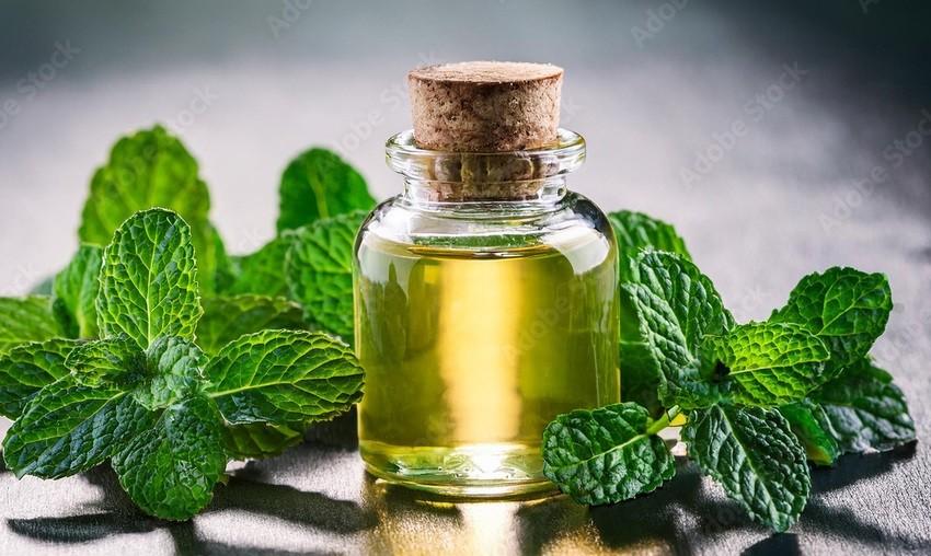 Peppermint Oil