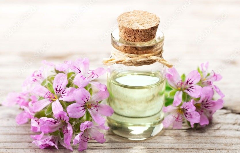 Rose Geranium Oil