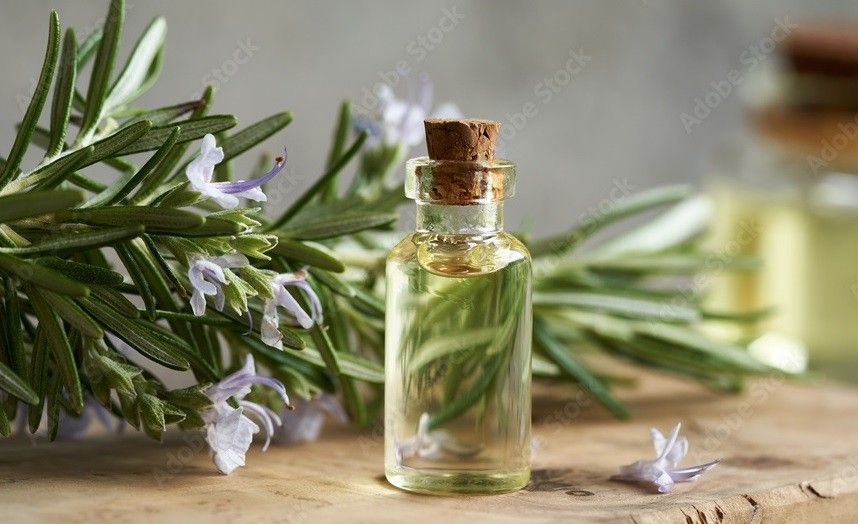Rosemary Oil