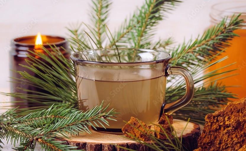 Pine Needle Tea