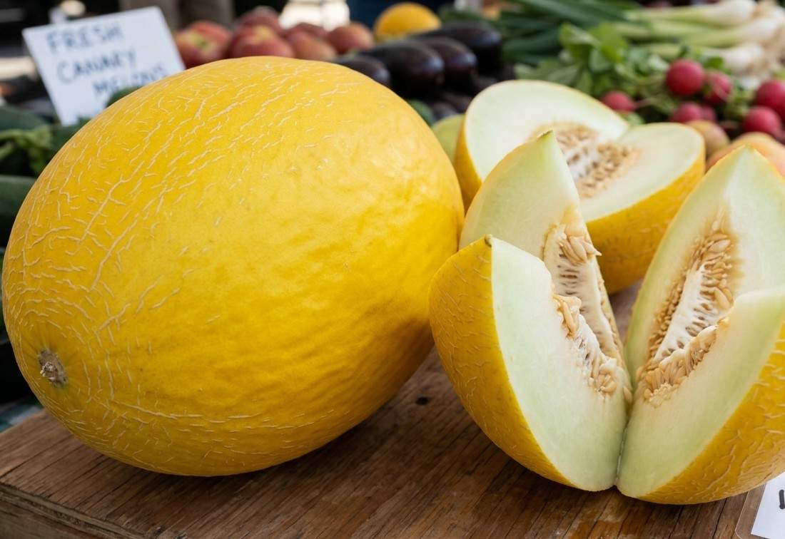Canary Melon