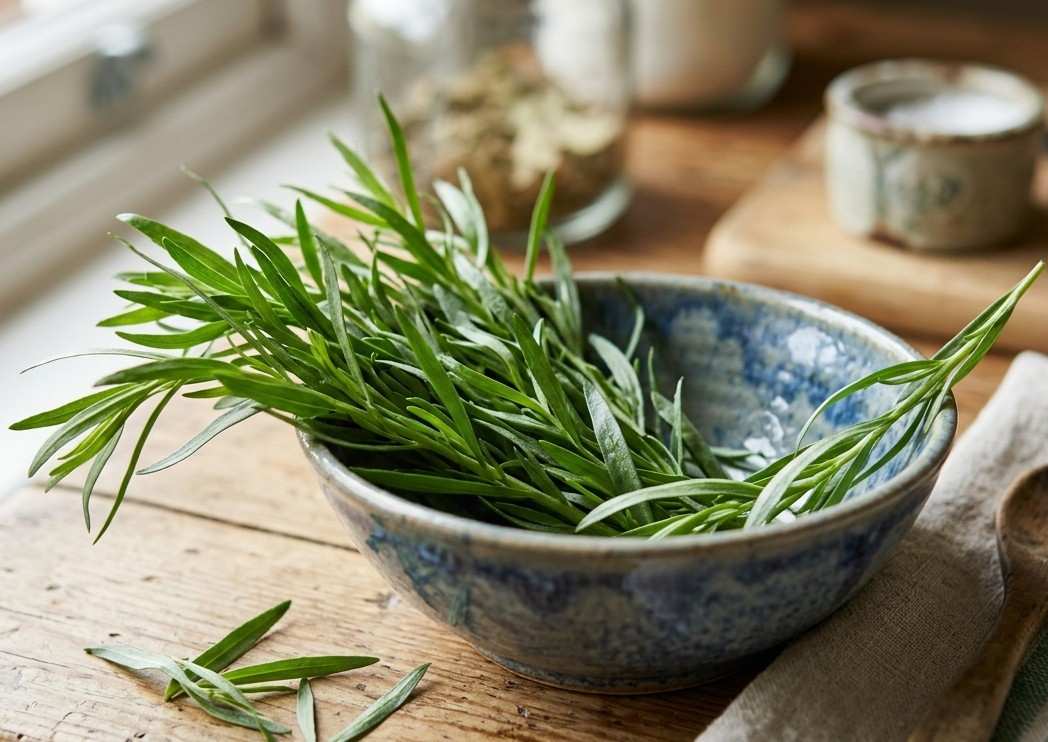 Tarragon