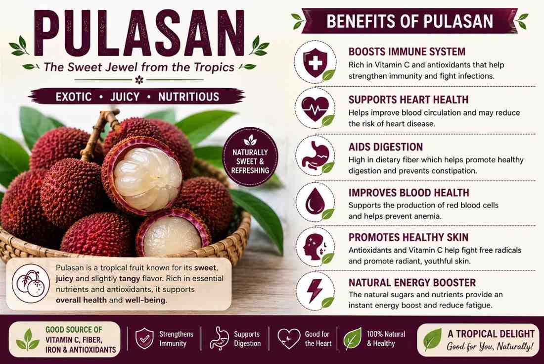 Pulasan