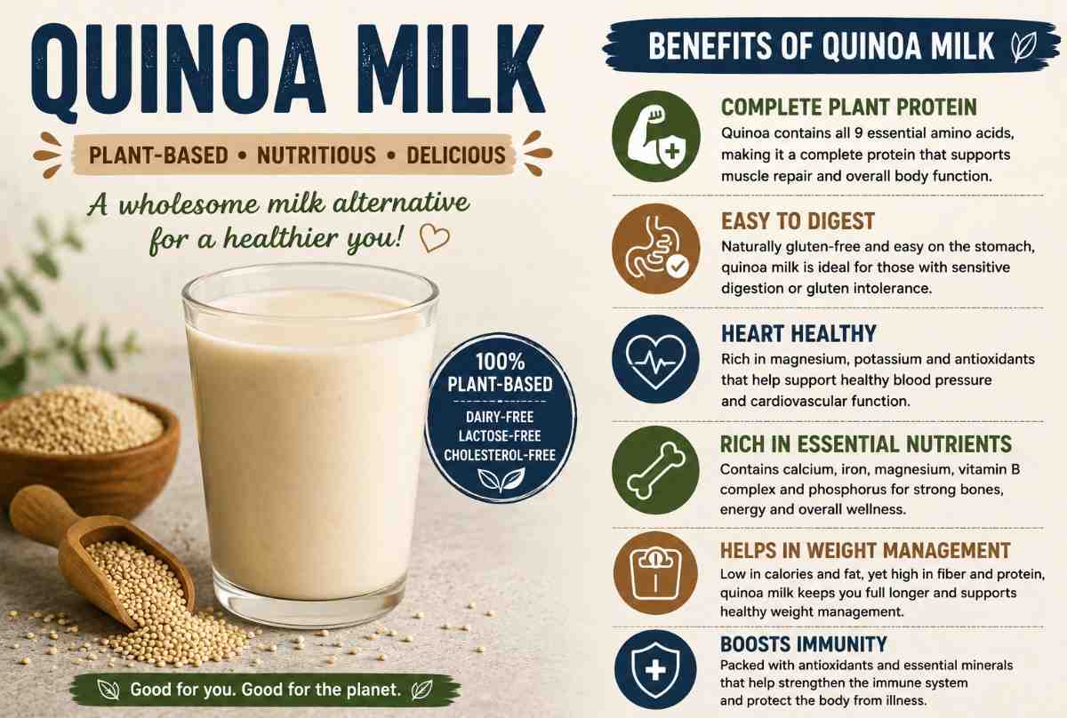 Quinoa Milk