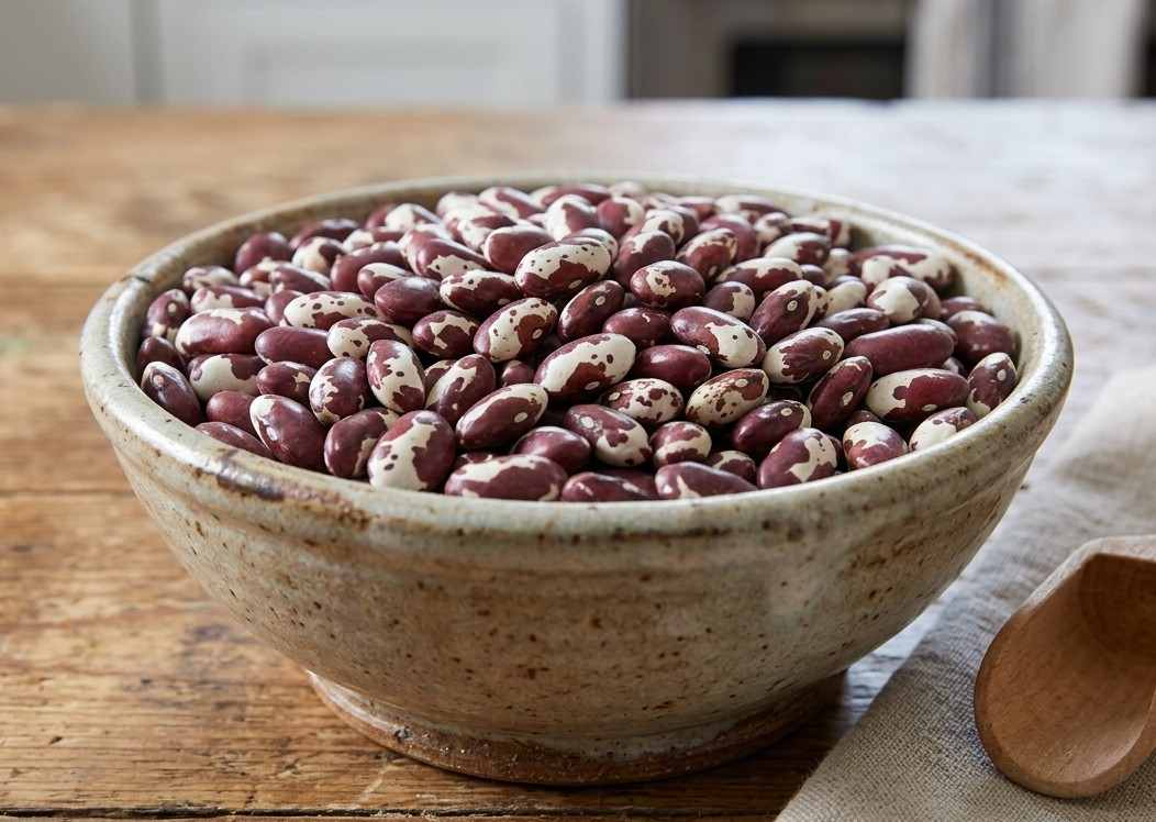 Anasazi Beans