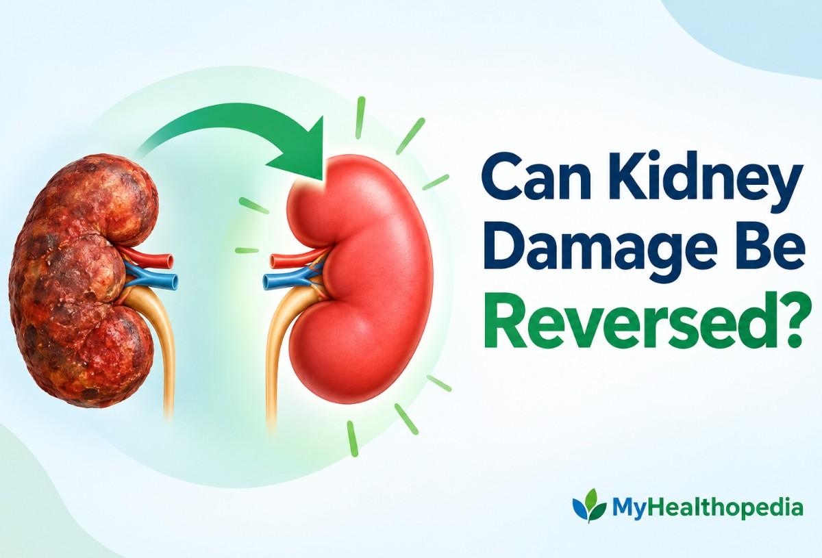 Can Kidney Damage Be Reversed