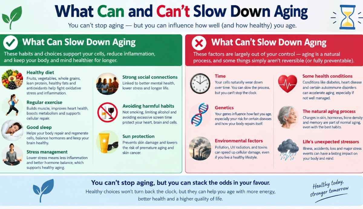 What Can and Can’t Slow Down Aging